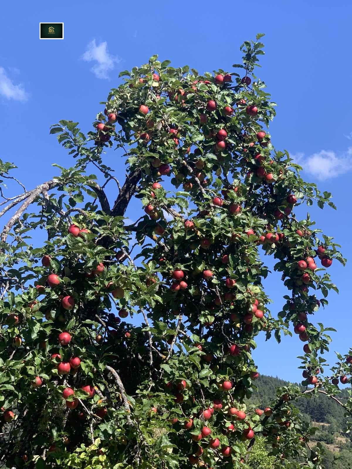 ������� ���������� ���� | Imot.bg � ����������� 6