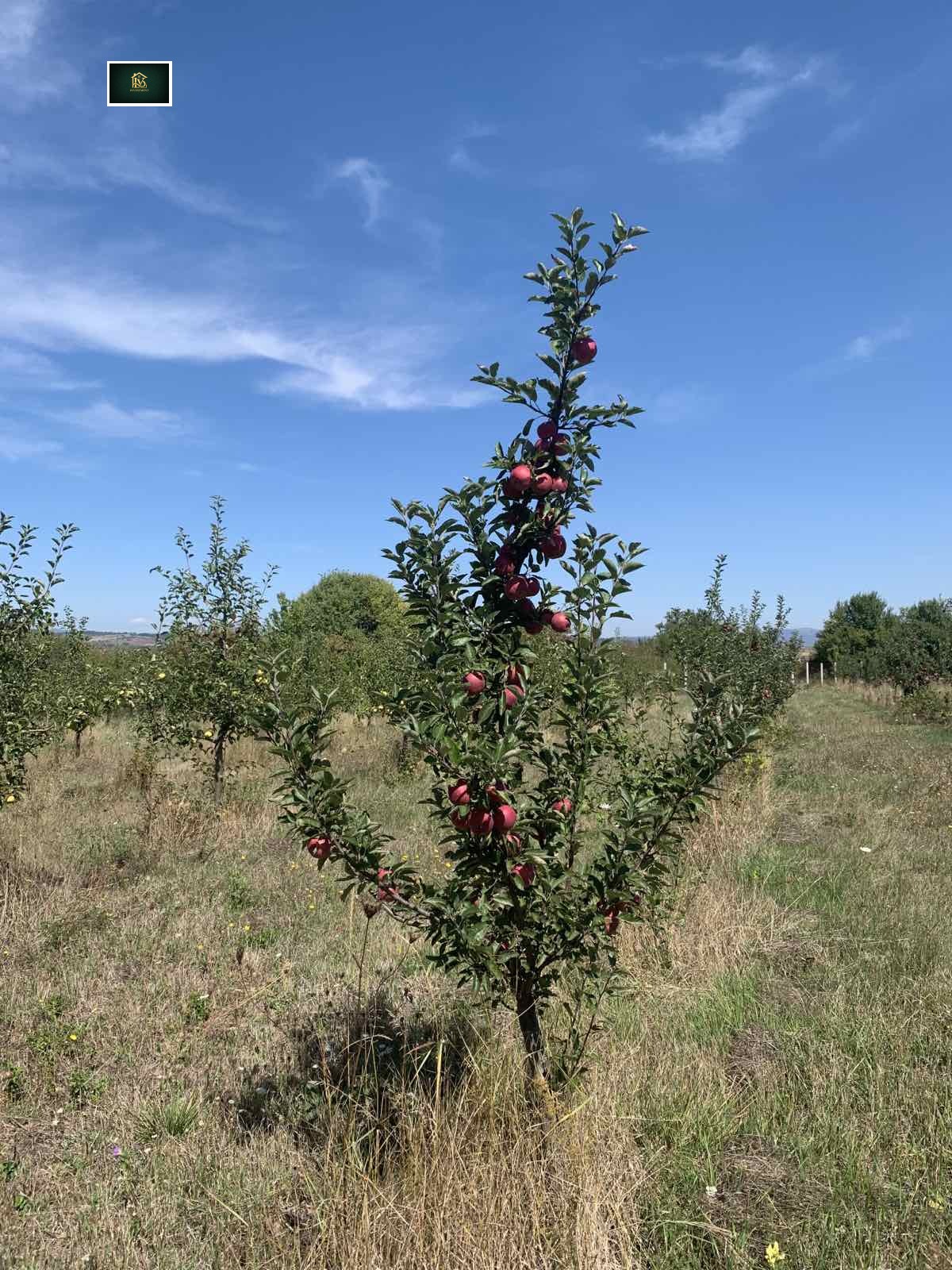 ������� ���������� ���� | Imot.bg � ����������� 2