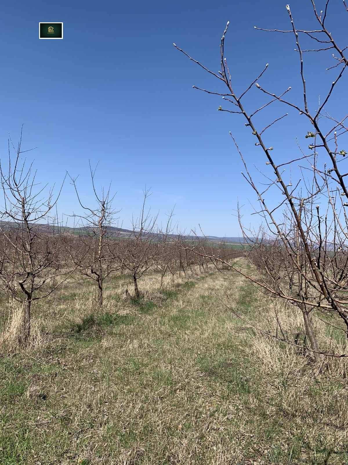 ������� ���������� ���� | Imot.bg � ����������� 4