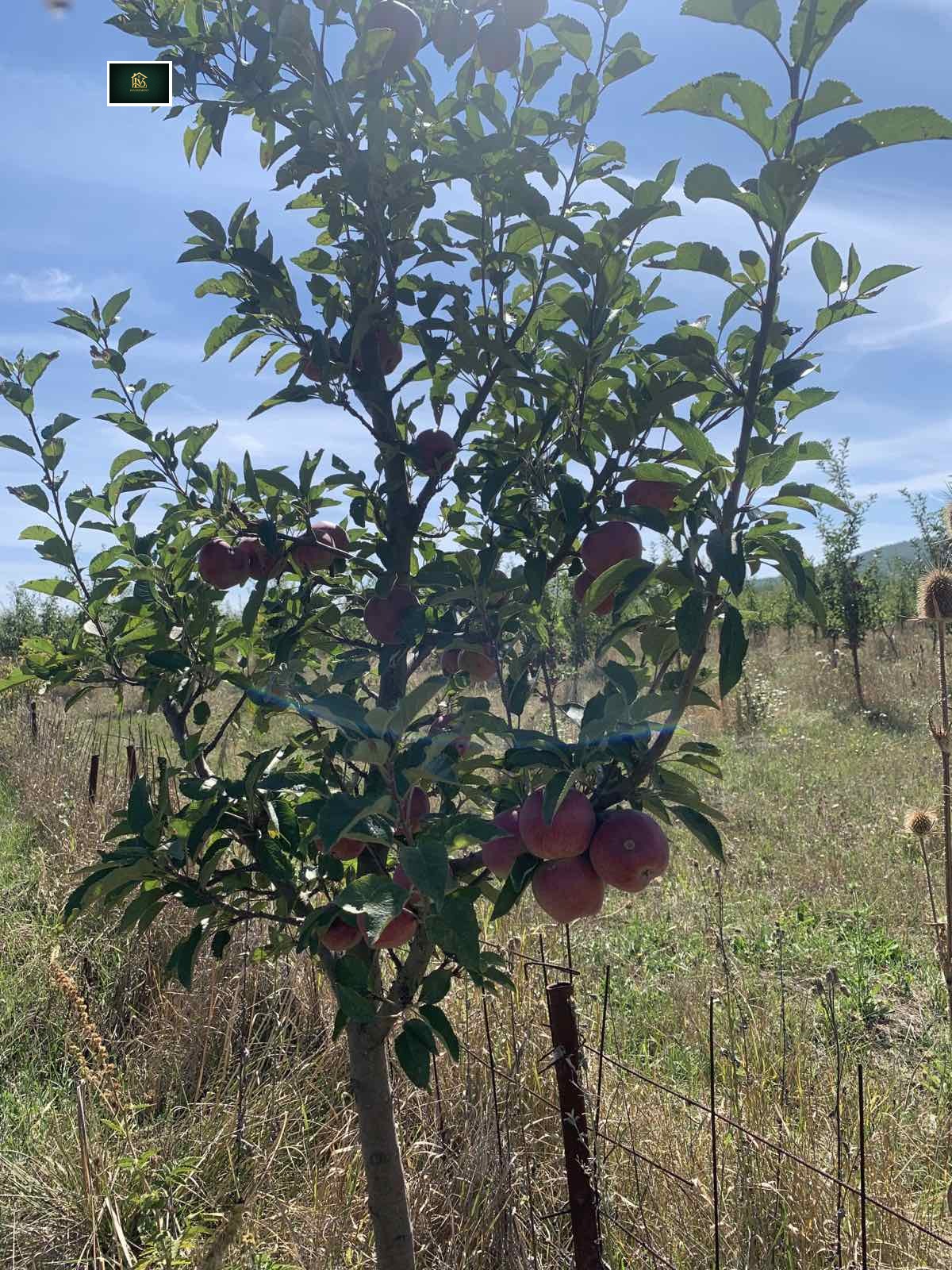 ������� ���������� ���� | Imot.bg � ����������� 3