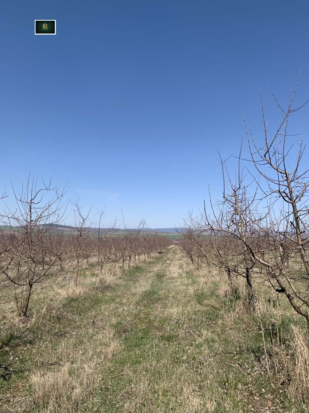 ������� ���������� ���� | Imot.bg � ����������� 1