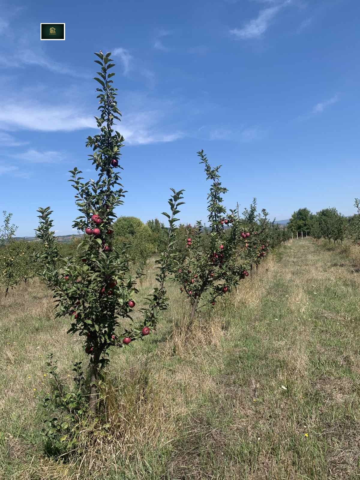 ������� ���������� ���� | Imot.bg � ����������� 8