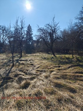 Парцел с. Николаево, област Перник 3