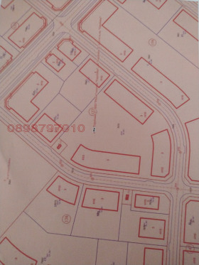 ����� ������� ������,���� �����, ���������������