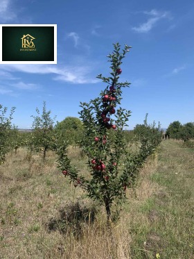 ������� ���������� ���� | Imot.bg � ����� ������ 2