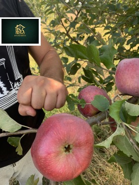 ������� ���������� ���� | Imot.bg � ����� ������ 7