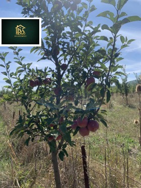 ������� ���������� ���� | Imot.bg � ����� ������ 3