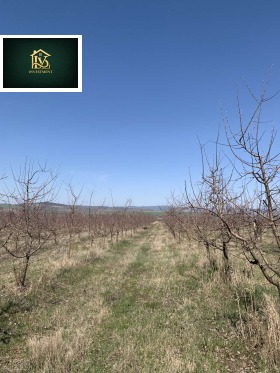 ������ ������� ���������� ����