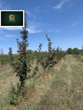 ������� ���������� ���� | Imot.bg � ����� ������ 8