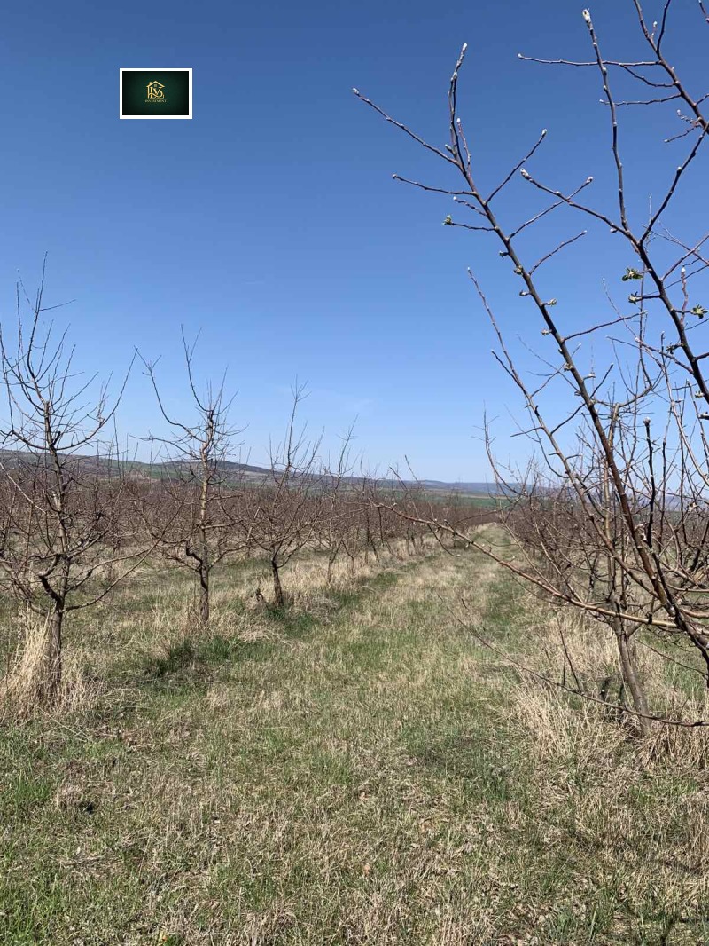 Продава ЗЕМЕДЕЛСКА ЗЕМЯ, с. Дебели лаг, област Перник, снимка 3 - Земеделска земя - 53072118