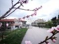 Продава  2-стаен област Варна , с. Приселци , 60 кв.м | 19900316 - изображение [11]