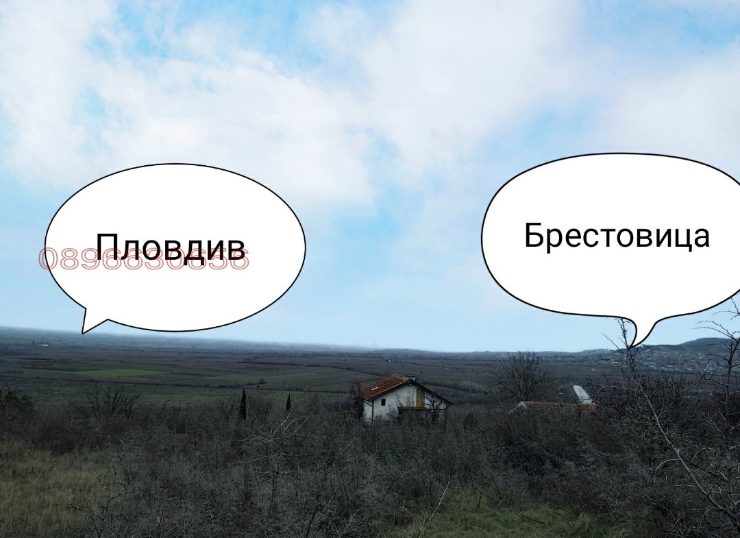 ������� ������ | Imot.bg � ����������� 3