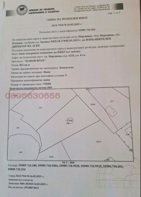 ������ ������� ������