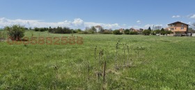 ������ ������� ������