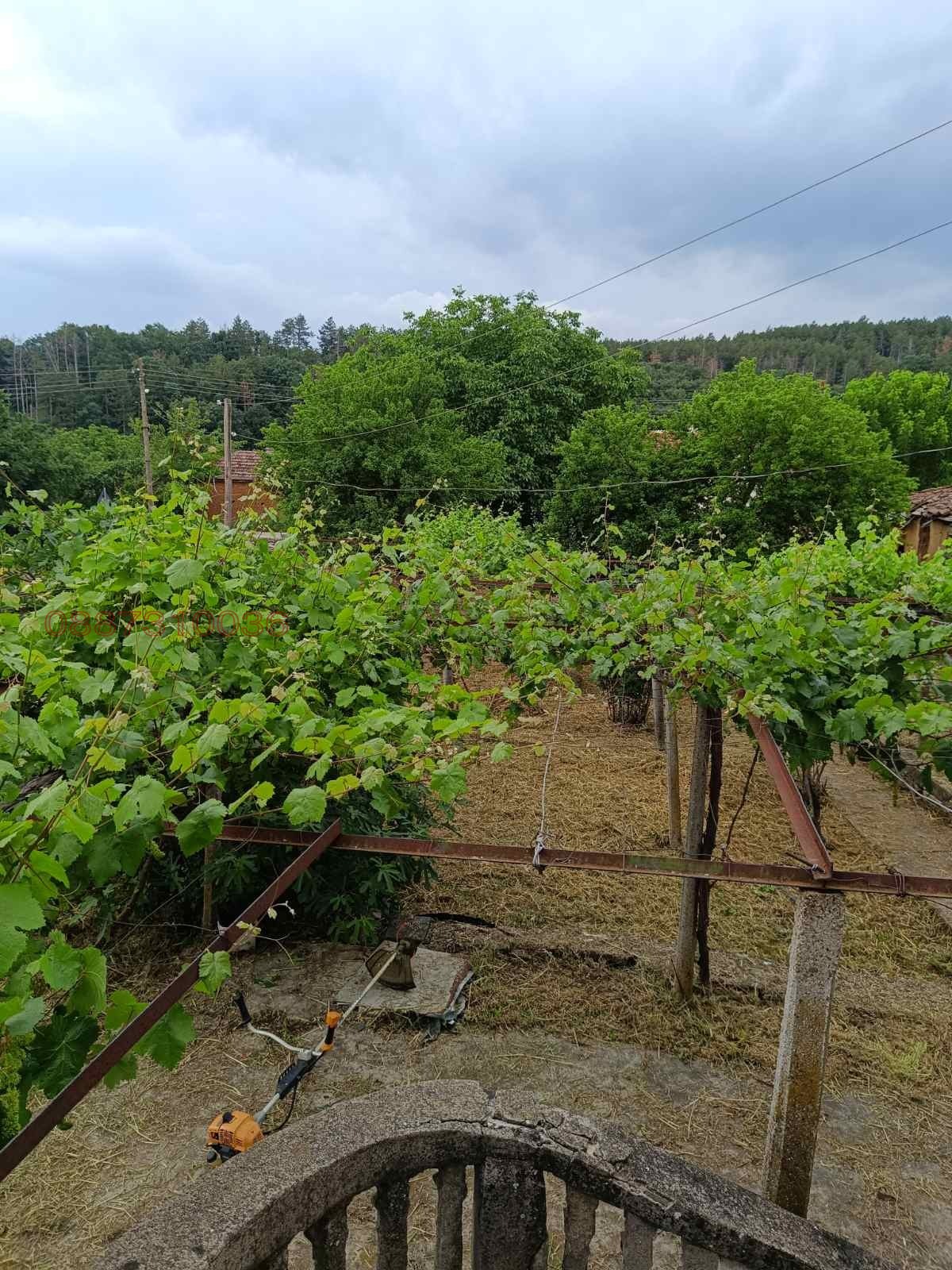 Продава КЪЩА, с. Мрамор, област Хасково, снимка 7 - Къщи - 54887089