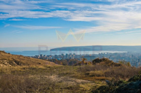 ����� ������� ������,���� �����, �-� ������