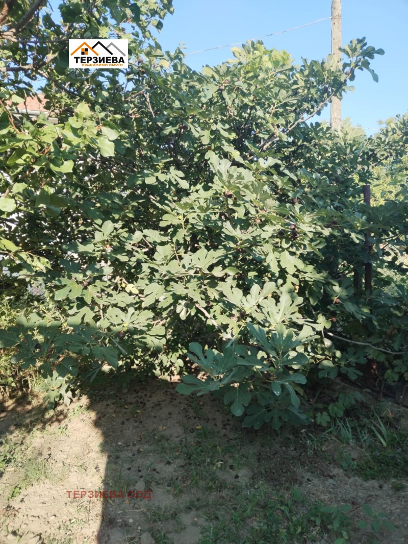 Zu verkaufen  Handlung region Stara Sagora , Tulowo , 515 qm | 68491206 - Bild [3]