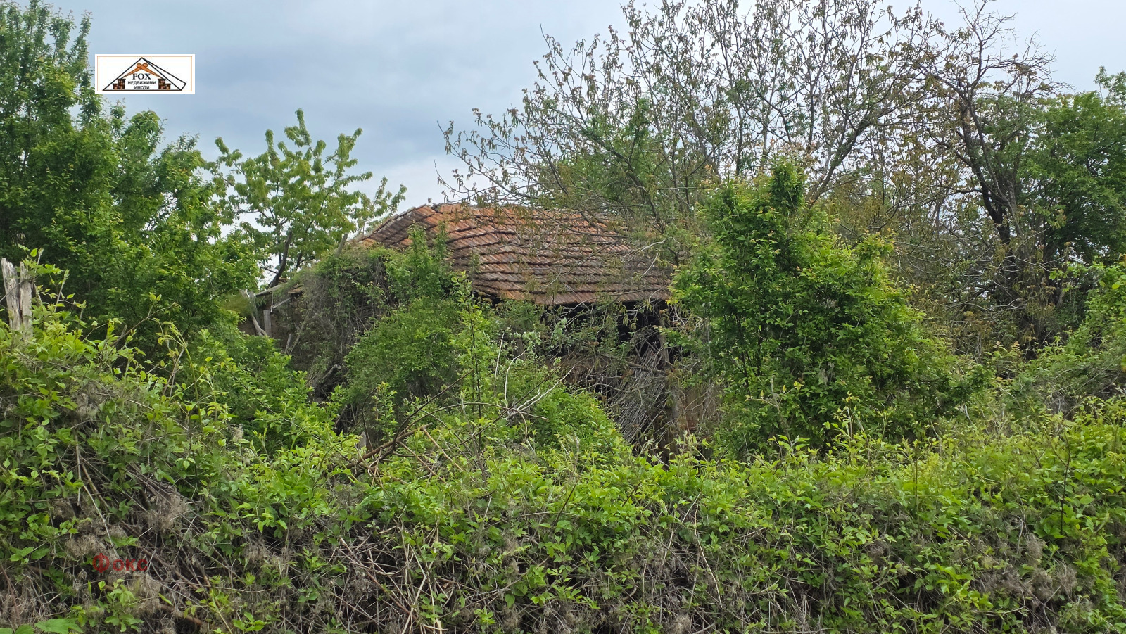 Продава КЪЩА, с. Батишница, област Русе, снимка 5 - Къщи - 54388375
