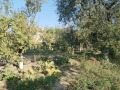Продава ПАРЦЕЛ, област Стара Загора, с. Тулово • 23000 € • 49119682 — Holmes.bg