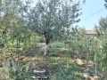 Продава ПАРЦЕЛ, област Стара Загора, с. Тулово • 23000 € • 49119682 — Holmes.bg