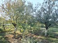 Продава ПАРЦЕЛ, област Стара Загора, с. Тулово • 23000 € • 49119682 — Holmes.bg