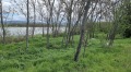 Продава  Парцел област Пловдив , с. Борец , 1000 кв.м | 49090912