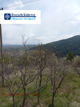 ������� ���� | Imot.bg � ����� ������ 7