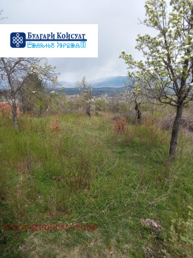 ������� ���� | Imot.bg � ����� ������ 12