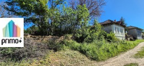 Plott Dobri djal, region Veliko Tarnovo 2