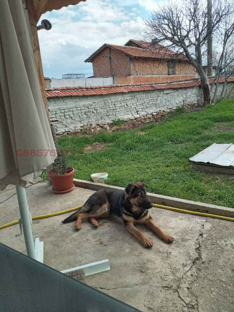 Продава КЪЩА, с. Блатница, област Пазарджик, снимка 4 - Къщи - 53414285