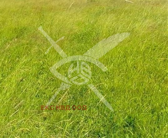 Продава  Парцел област Пловдив , с. Дедево , 2000 кв.м | 57002548