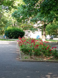Продава 3-СТАЕН, град София, Красно село • 309000 € • 72009510 — Holmes.bg