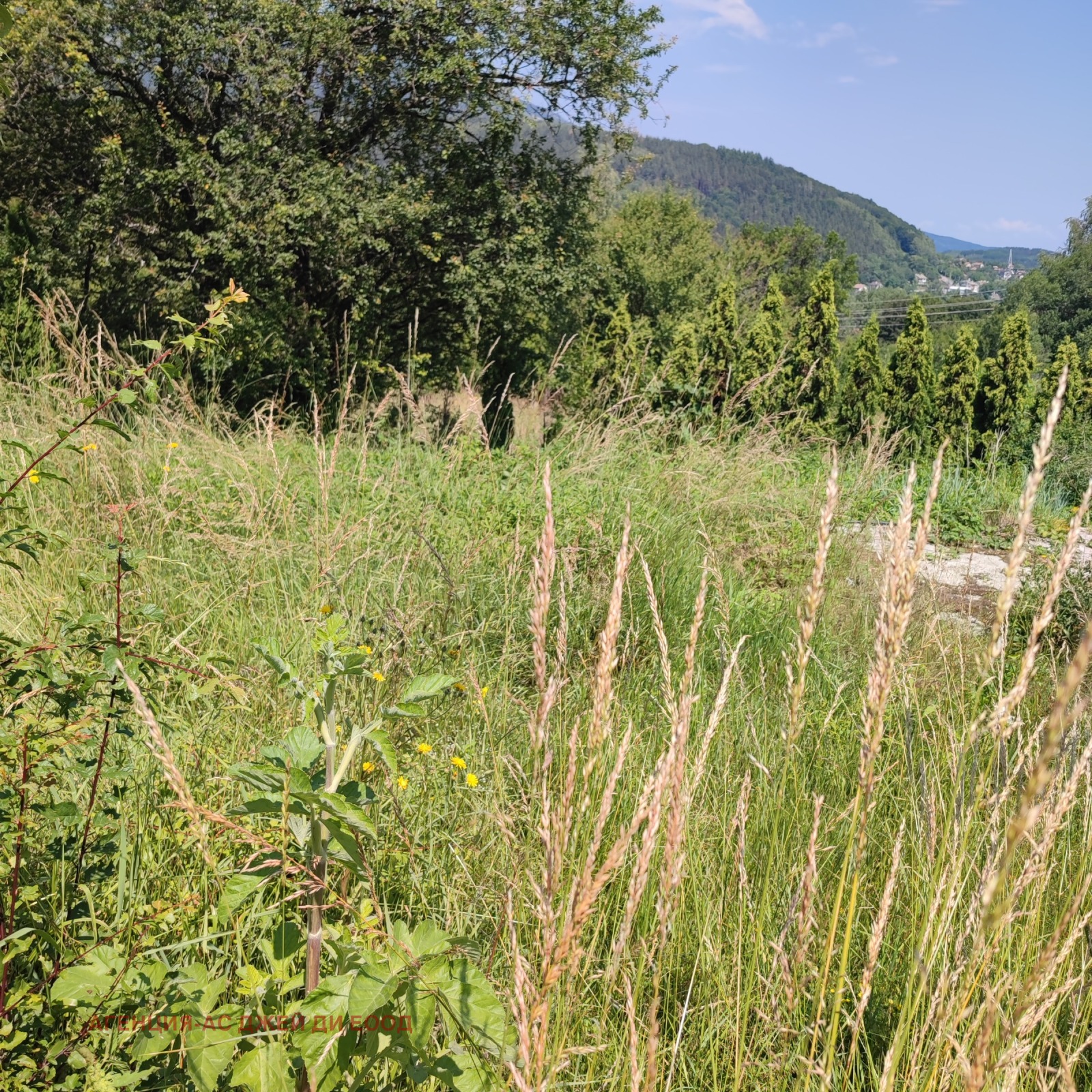 ������� ������ | Imot.bg � ����������� 8