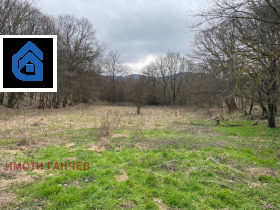 ����� ������� ���������� ����,�. ����� �����, ������ ����� ������