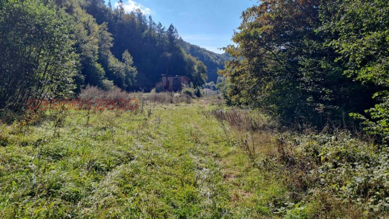 De vânzare  Teren regiunea Smolyan , Arda , 9200 dka | 19246300 - imagine [6]