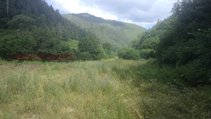 De vânzare  Teren regiunea Smolyan , Arda , 9200 dka | 19246300 - imagine [3]