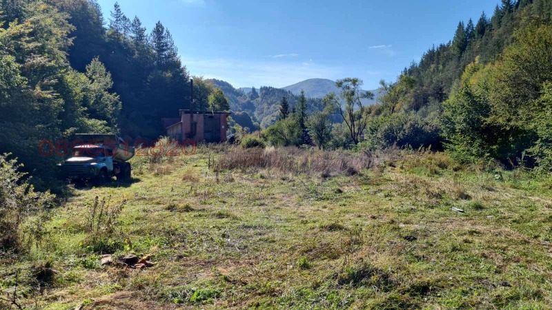 De vânzare  Teren regiunea Smolyan , Arda , 9200 dka | 19246300 - imagine [2]