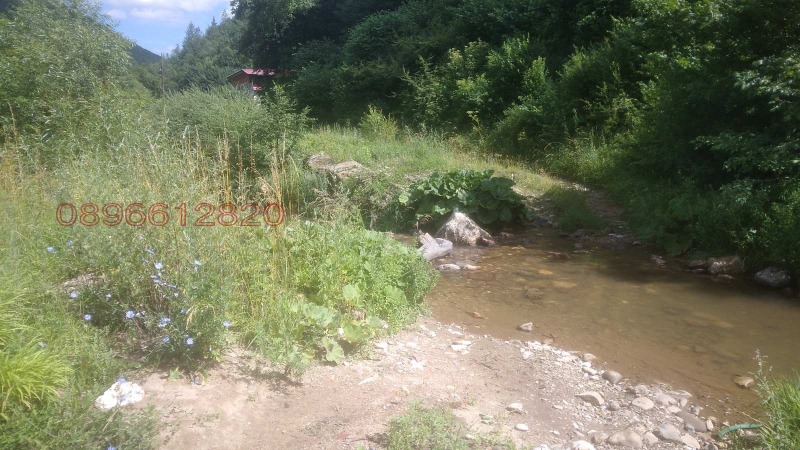 De vânzare  Teren regiunea Smolyan , Arda , 9200 dka | 19246300 - imagine [4]