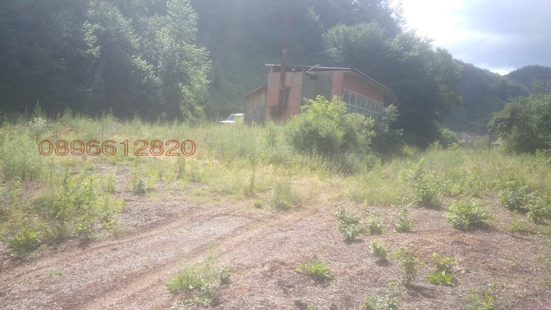 De vânzare  Teren regiunea Smolyan , Arda , 9200 dka | 19246300 - imagine [5]