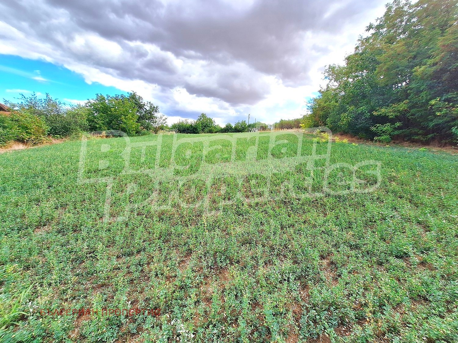 Продава КЪЩА, с. Босилковци, област Русе, снимка 11 - Къщи - 56398989