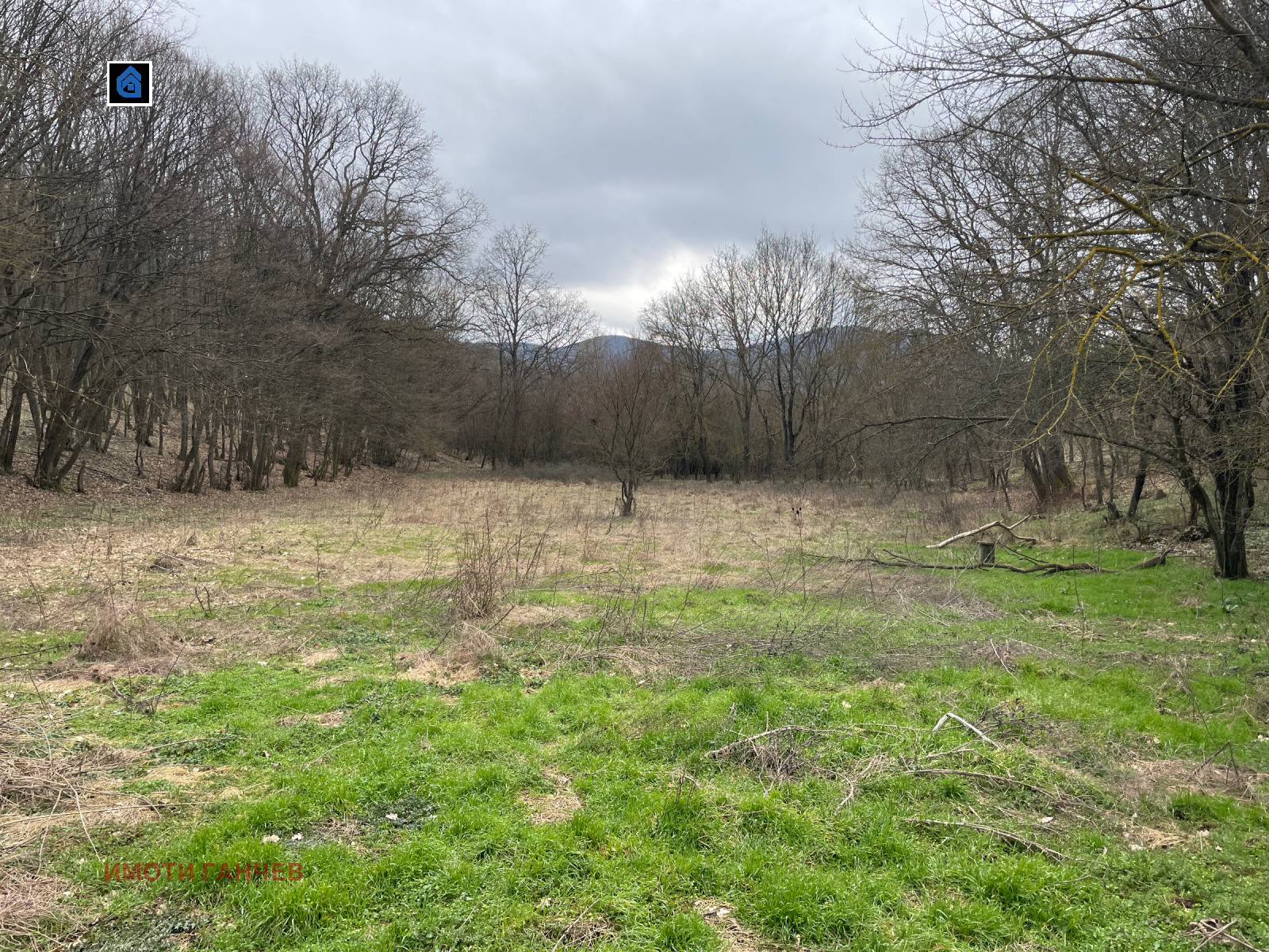 Продава ЗЕМЕДЕЛСКА ЗЕМЯ, с. Малка Верея, област Стара Загора