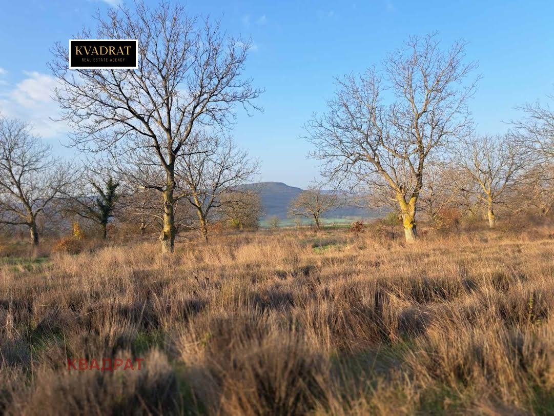 ������� ���������� ���� | Imot.bg � ����������� 3