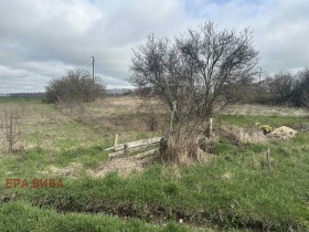 ����� ������� ������,�. ��������, ������ ������