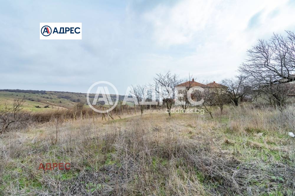 Продава КЪЩА, с. Генерал Кантарджиево, област Варна, снимка 8 - Къщи - 56229254