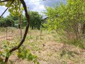 Продава  Къща област Търговище , с. Стража , 154 кв.м | 82563101 - изображение [4]