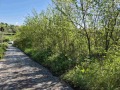 Продава ПАРЦЕЛ, област Русе, с. Ново село • 19990 € • 38913372 — Holmes.bg