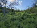 Продава ПАРЦЕЛ, област Русе, с. Ново село • 19990 € • 38913372 — Holmes.bg