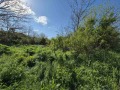 Продава ПАРЦЕЛ, област Русе, с. Ново село • 19990 € • 38913372 — Holmes.bg