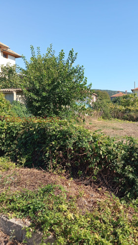 ������� ������ | Imot.bg � ����� ������ 2