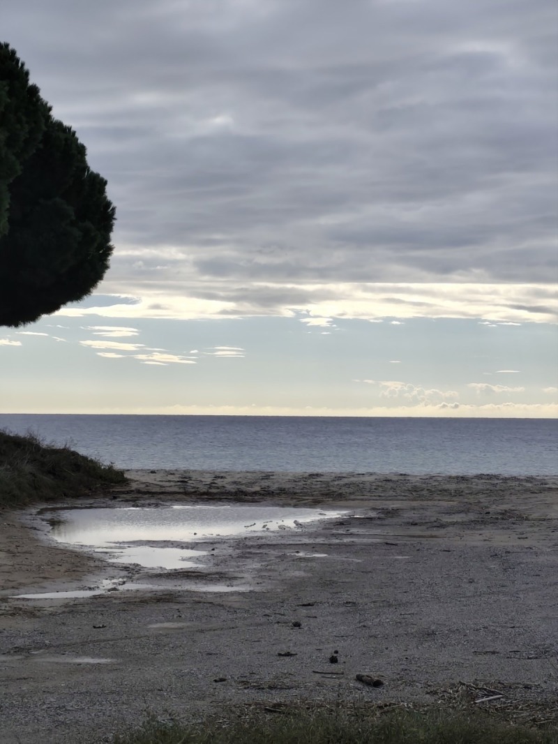 Продава ПАРЦЕЛ, Извън страната, област Извън страната, снимка 4 - Парцели - 52415414